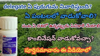 delegate uses in telugu  spinetoram 117 sc  delegate insecticide full information  Delegate use [upl. by Yebot29]