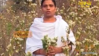 Ayurvedic Benefits of Adusa plant for for Asthma problem  Acharya Balkrishna [upl. by Damalas]