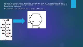 Enlaces Glucosídicos Formación de disacáridos Introducción y ejemplo Maltosa [upl. by Tik326]