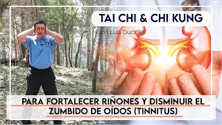 Sana el ZUMBIDO DE OIDOS Tinnitus Acúfenos y Fortalece la energia en tus RIÑONES 💪 [upl. by Netniuq]