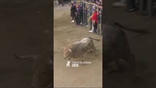 UNO DE LOS TOROS MÁS FUERTES QUE VERÁS [upl. by Dasteel]