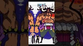 One piece height comparison 🌀☠️ [upl. by Kiki]