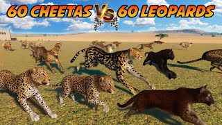 60 Cheetas VS 60 Leopards Animals Race in Planet Zoo included African Cheetah amp African Leopard [upl. by Grannia]