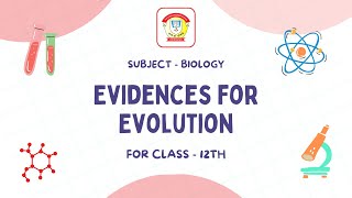 Evidences for Evolution  Class 12 Biology  The Doon Grammar School [upl. by Notslar]