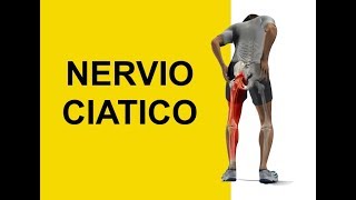 Nervio Ciatico y Dermatomas Sintomas de Entumecimiento y Hormigueo Ciatica [upl. by Brazee]