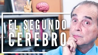 Episodio 1570 El Segundo Cerebro [upl. by Calondra892]