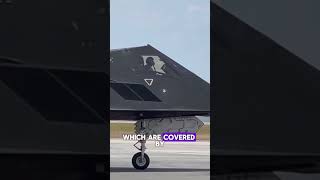 The F117 stealth airplane [upl. by Vernier]