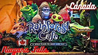 Rainforest Cafe Niagara Falls Dining in the Wild Canada Adventure [upl. by Anyr472]