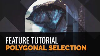 Polygonal Selection  Tutorial [upl. by Antipas]