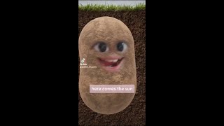 Pebble The Potato Singing Compilation [upl. by Nimajneb]