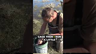 Pack baiting Method mix for big carp fishing carpangling fish [upl. by Bonita]