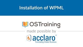 WordPress Multilingual Class 6 Installation of WPML [upl. by Hpeseoj]