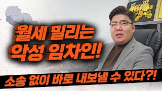 악성 임차인 월세미납 수개월차 ｜제소전화해로 명도없이 바로 강제집행 할 수 있다｜임대인필수시청 [upl. by Launam]