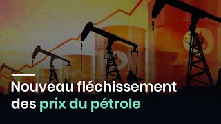 Nouveau fléchissement des prix du pétrole [upl. by Mcripley]