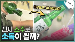 진짜 소주로 소독이 될까 직접 실험했습니다 미나니x처음처럼 꿀주 [upl. by Roderic]