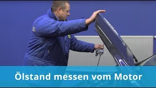 Ölstand messen vom Motor [upl. by Llirpa]