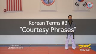 Korean Terms 3 Courtesy Phrases [upl. by Enneicul106]