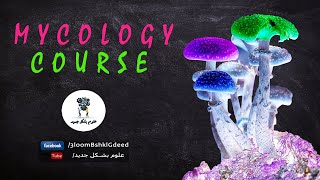 محاضرات كورس علم الفطريات Mycology  محاضرة 4  Classification of Fungi [upl. by Nickerson]