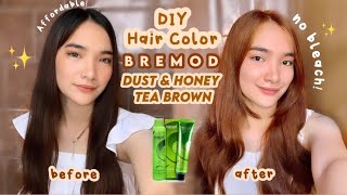 DIY HAIR COLOR USING BREMOD DUST amp HONEY TEA BROWN No Bleach 🤎✨  Denays Ann [upl. by Kurr]