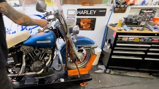 Barn Find 1974 Harley Davidson Shovelhead 1st Start [upl. by Ertha]