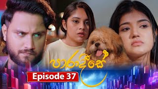 Paradeese  Episode 37  20240917  ITN [upl. by Anirual]