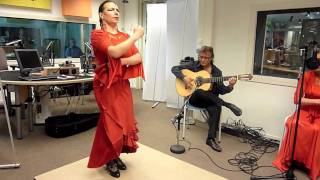 Flamenco PaisajesTierra de Nadie [upl. by Bev]