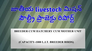 NLM poultry project report [upl. by Gershom]