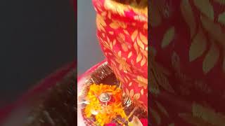 Tulsi Mata ka ki shaadi shaligram [upl. by Laud]