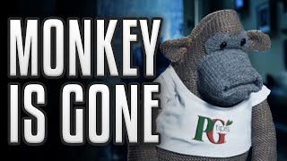 The PG Tips Monkey Has Been Replaced  Some Boi Online [upl. by Akema]