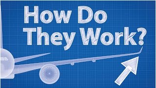 Winglets  How Do They Work Feat Wendover Productions [upl. by Kiley]