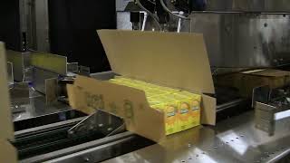 Polypack Wrap Around Case Packer Cartoning MultiPacks of Juice Boxes  wwwProPaccom [upl. by Kauppi]