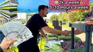 Master Microgreens Farmer PROVES How to Make Money Growing Microgreens Business at Farmers Market [upl. by Kisung445]