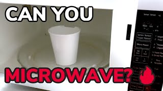 Can You Microwave Styrofoam [upl. by Siravat501]