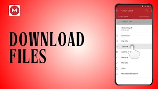 How to Download Files From Mega [upl. by Vanna]