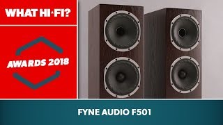 Fyne Audio F501 Best floorstander £1000£1500 [upl. by Ahtelat199]