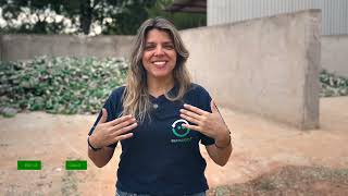 Bonito é reciclar Conheça o que está transformando a reciclagem do vidro no Mato Grosso do Sul [upl. by Tryck]