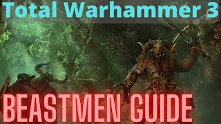 Beastmen In Depth Guide TW3 Immortal Empires [upl. by Ahsitan411]