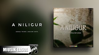 Amidal Tribes  A Niligur ft Uralom Kania [upl. by Coughlin808]