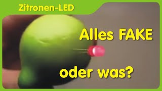 Ist eine ZitronenEinzelzelle für eine LED geeignet  Reaktion auf Fakevideo [upl. by Noevad]