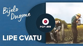 Bijelo Dugme  Lipe cvatu  Audio 1994 HD [upl. by Yzmar804]