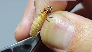 Tying the October Caddis Larva  A Step by Step Guide [upl. by Nilsoj]