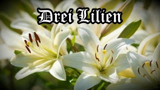 Drei Lilien 三朵百合花 中德字幕 [upl. by Negroj669]