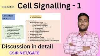 Cell Signalling  Cell Signalling CSIR NET  Cell signalling Pathway  Types of Cell signalling [upl. by Aldora]