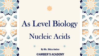 A Level Biology Nucleic Acids  Cambridge 9700  Part 2 [upl. by Bollinger]