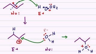 Hydration of Alkenes  Acid Catalyzed Reaction Mechanism [upl. by Plantagenet]