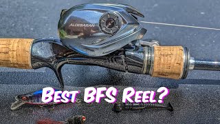 Should a Beginner Buy the 22 Shimano Aldebaran Long Term BFS Reel Review [upl. by Noirb]