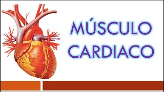 TEJIDO MUSCULAR Músculo Cardiaco [upl. by Miahc]