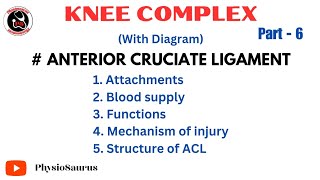 ACL  Anterior cruciate ligament attachment function mechanism of injury Knee complex [upl. by Slyke146]