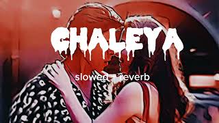 chaleya full slowed  reverb song  jawan [upl. by Yehudit134]