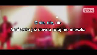 łzy Agnieszka karaoke z linię melodyczną [upl. by Nauqan]